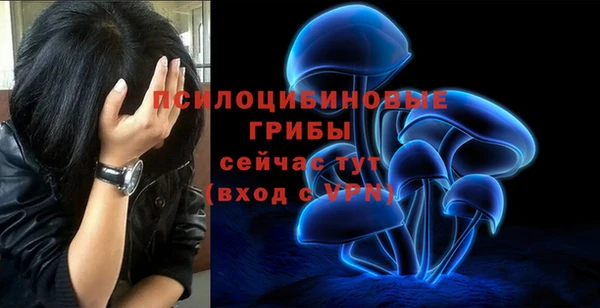 героин Ладушкин